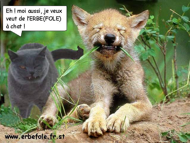 s'il te plaît....